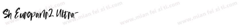 Sh EuropaNr2 Ultra字体转换